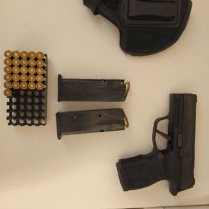 אקדח זיג זאוור