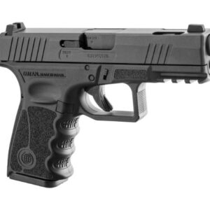 רמון צבע שחור